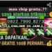 Agen Domino Terjamin: Tempat Terbaik Untuk Bermain Domino Online