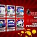 Daftar Akun Judi XL Terbaik dan Terpercaya